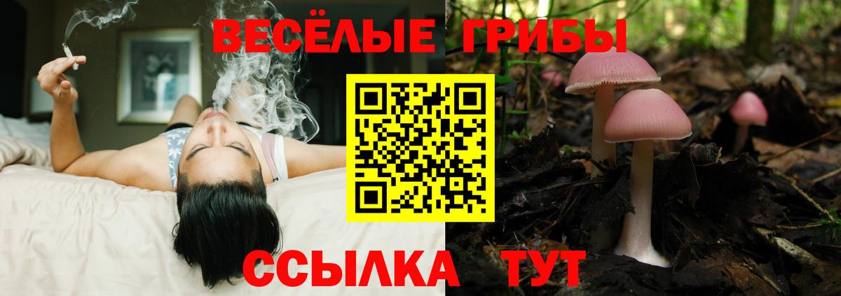 Псилоцибиновые грибы мухоморы  Вход с VPN  Клин 
